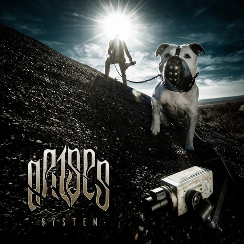 System