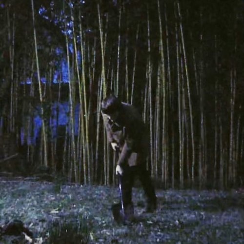 M83