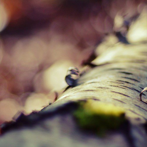 Fragments