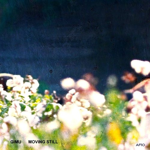 Moving Still