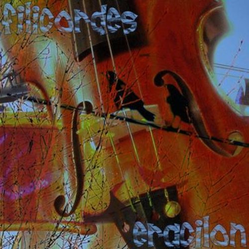 Filicordes