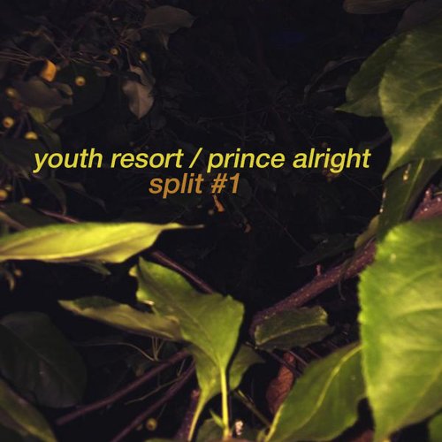 split #1