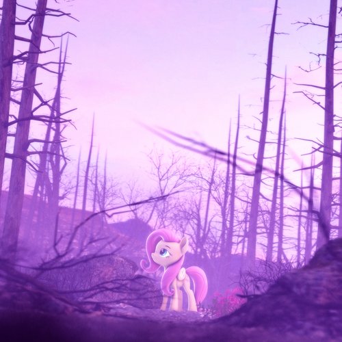 Canopy