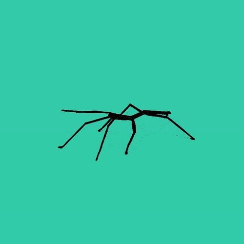 stickbug