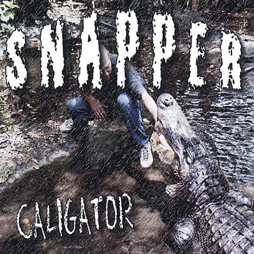 Snapper