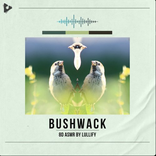 Bushwack
