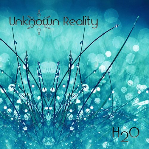 H2O