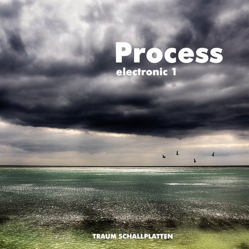 Electronic 1