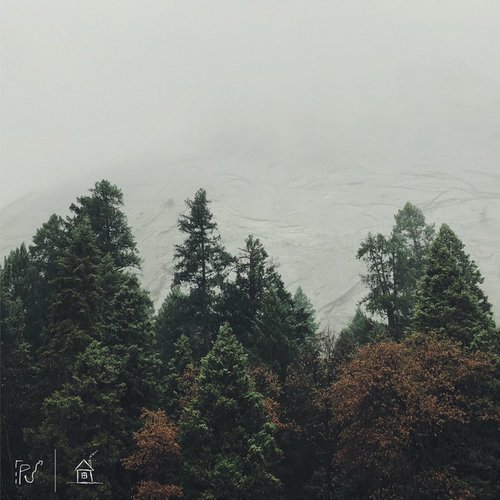 Rest - Single