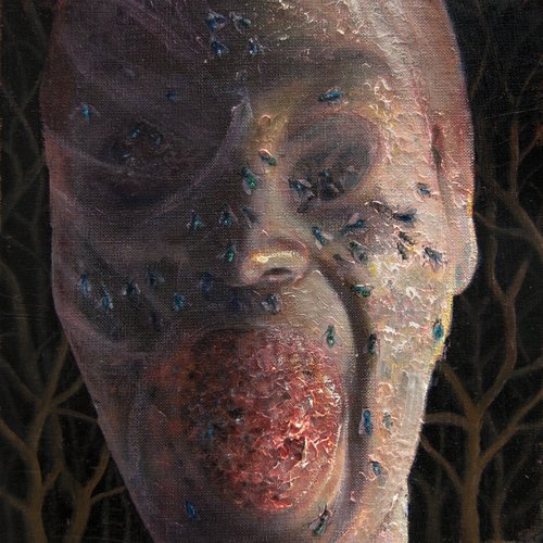...The Four Stages Of Decomposition...