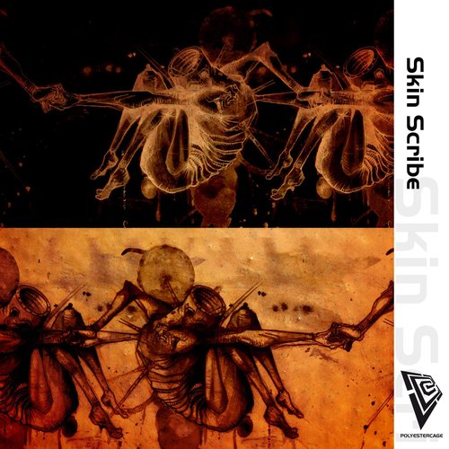 Skin Scribe  Single