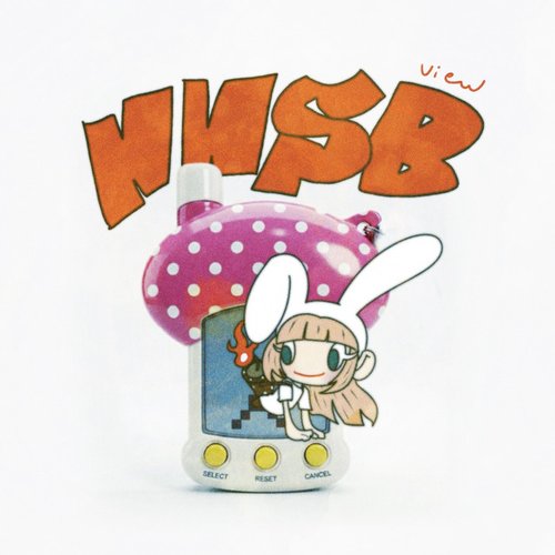 NNSB