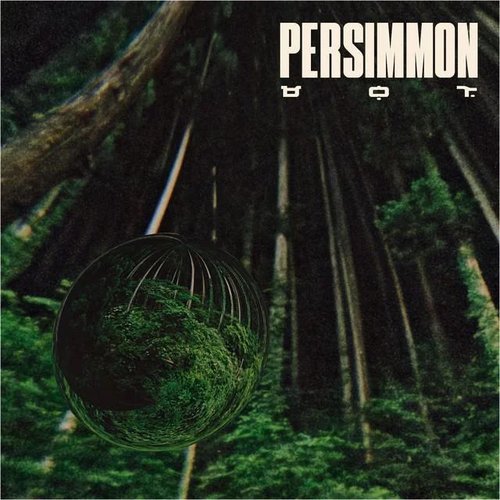 Persimmon