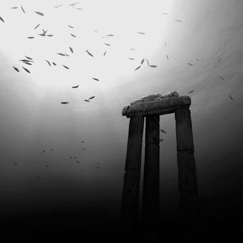 Retrieval