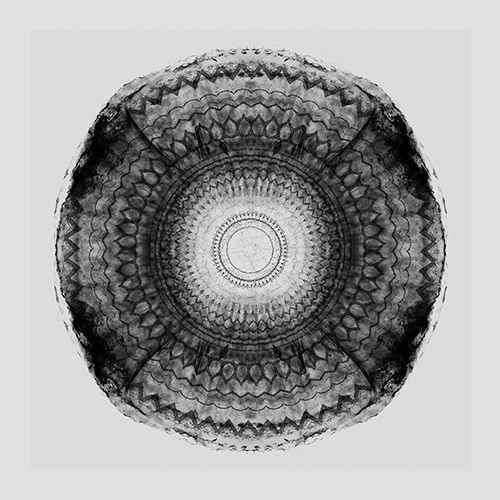 Sycomore