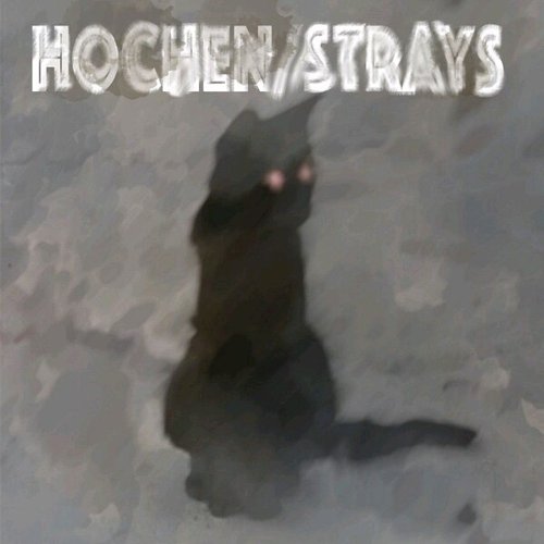 Strays