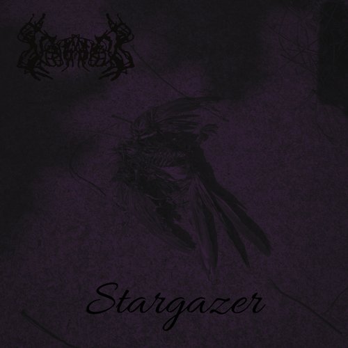 Stargazer