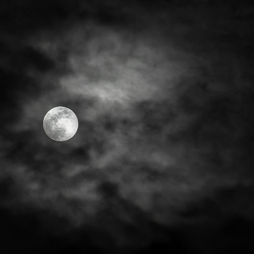 Fallen Night