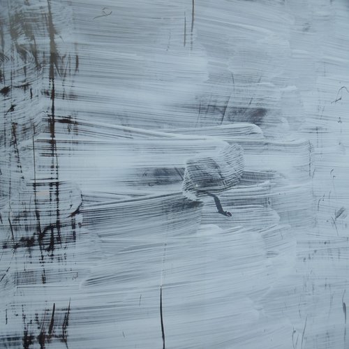 Ambivalence
