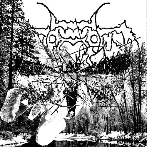 Moth