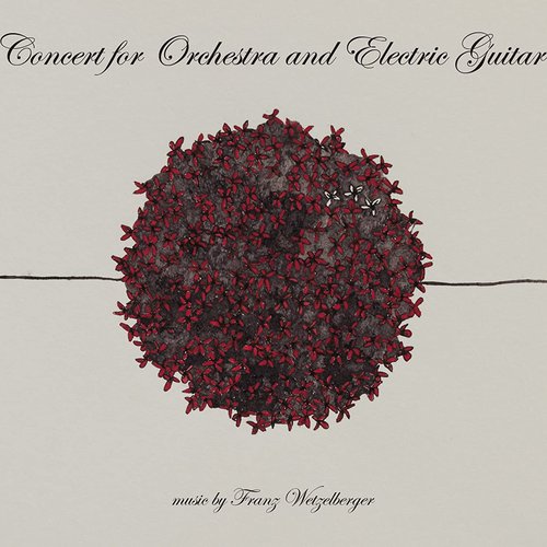 Concert for Orchestra and Electric Guitar