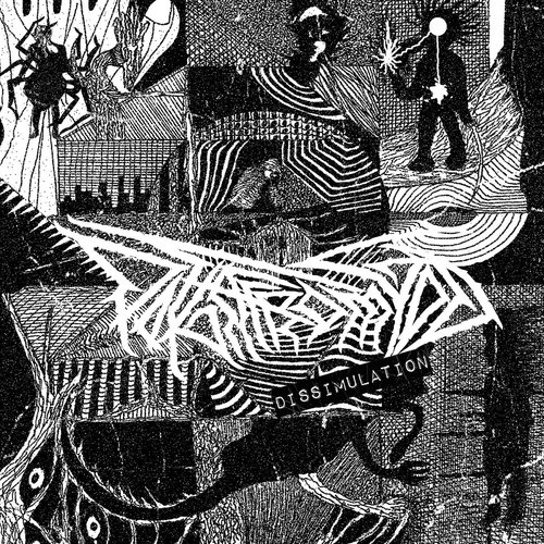 Dissimulation