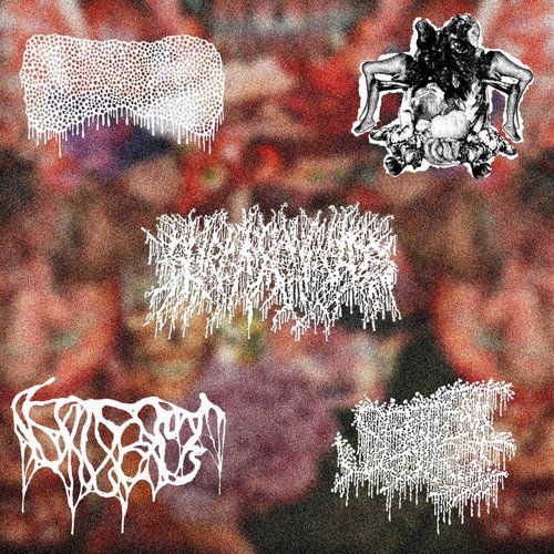 5-Way Split