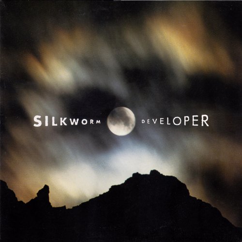 Developer