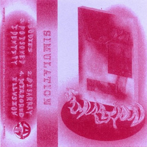 Simulation
