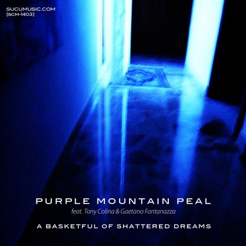 A basketful of shattered dreams
