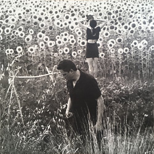 Image for playlist