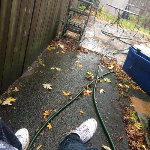 fall
