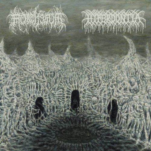 Split - Single