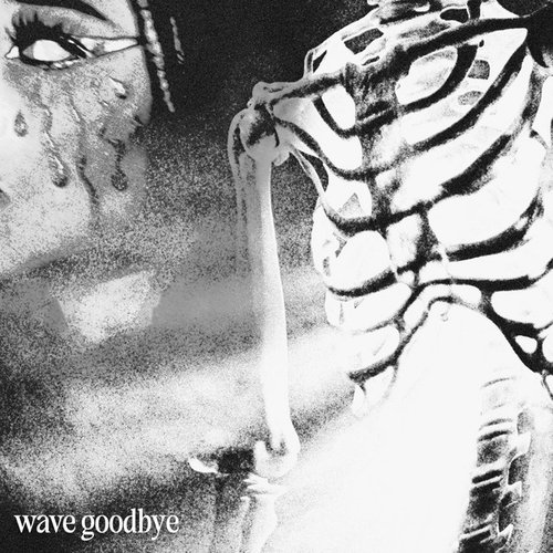 Wave Goodbye
