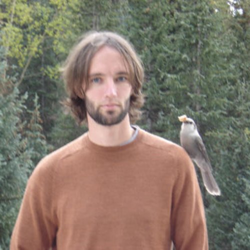 Image for playlist