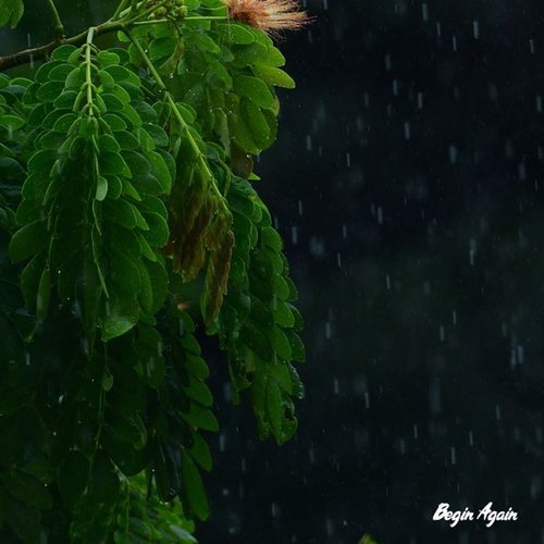 Begin Again