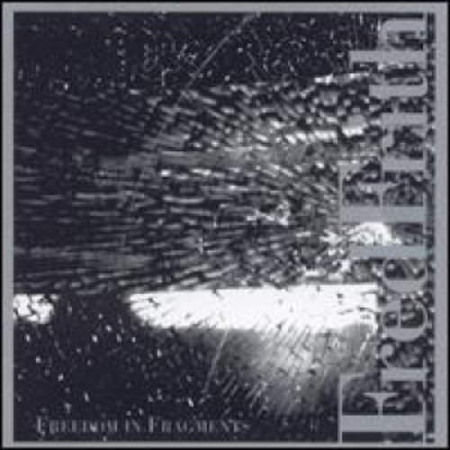 Freedom in Fragments