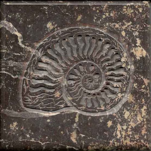 Metamorphism