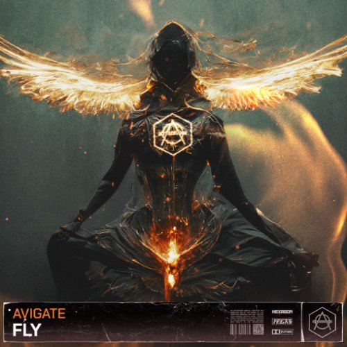 Fly