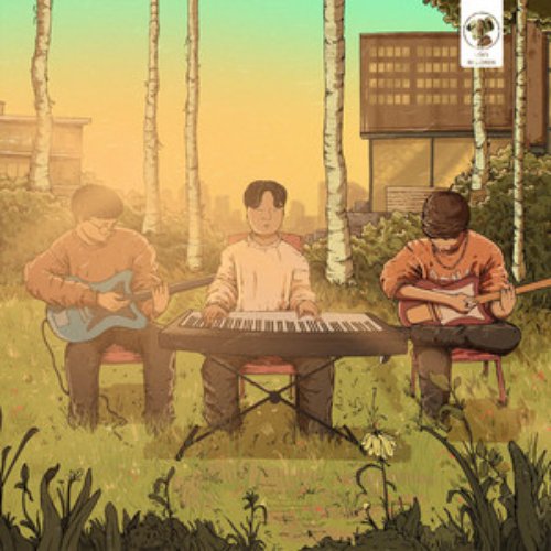 Spring Fields (Live Session)