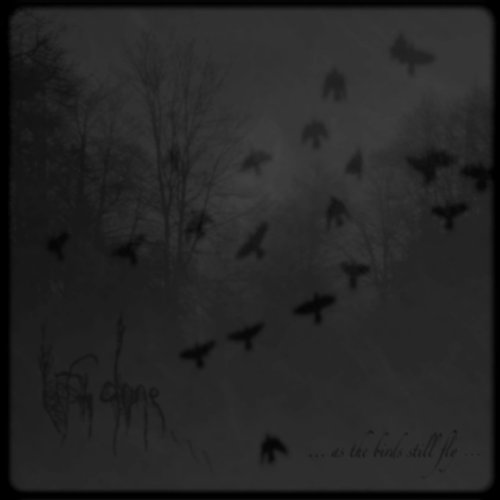 ...as the Birds Still Fly