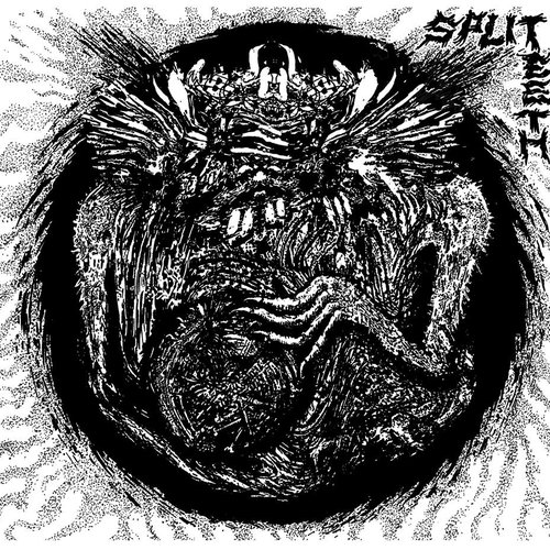 split teeth