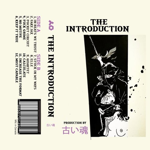 The Introduction