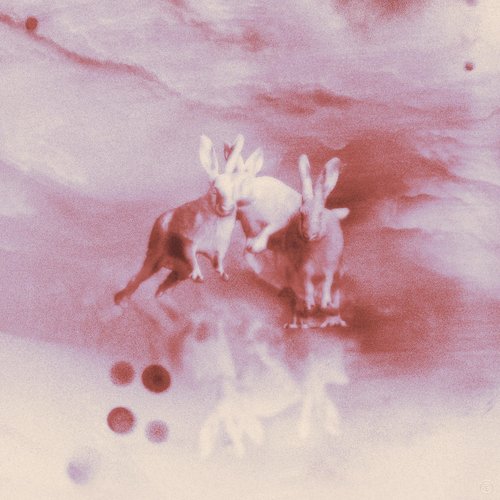 A Dull Life