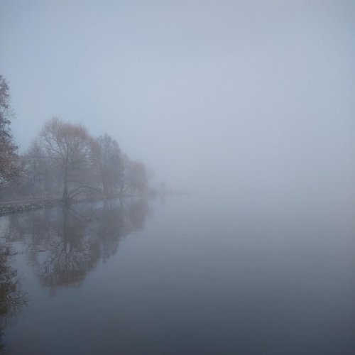 Fog