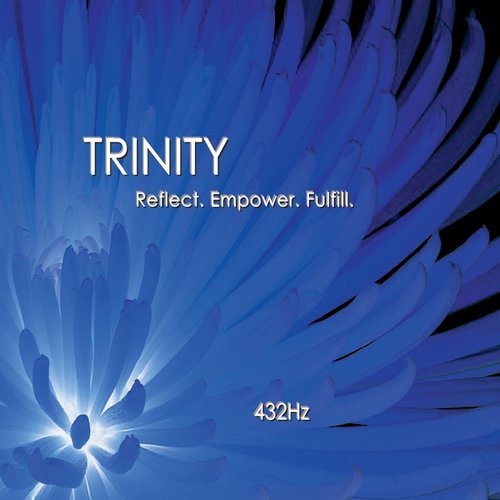 Trinity Collection