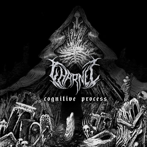 Cognitive Process