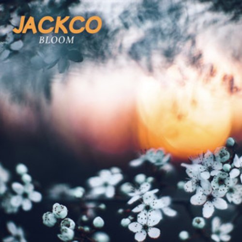 Bloom