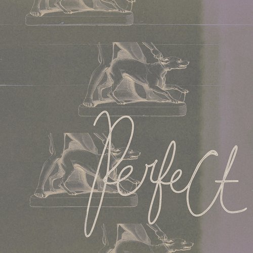 Perfect