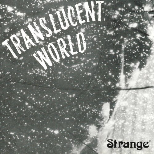 Translucent World